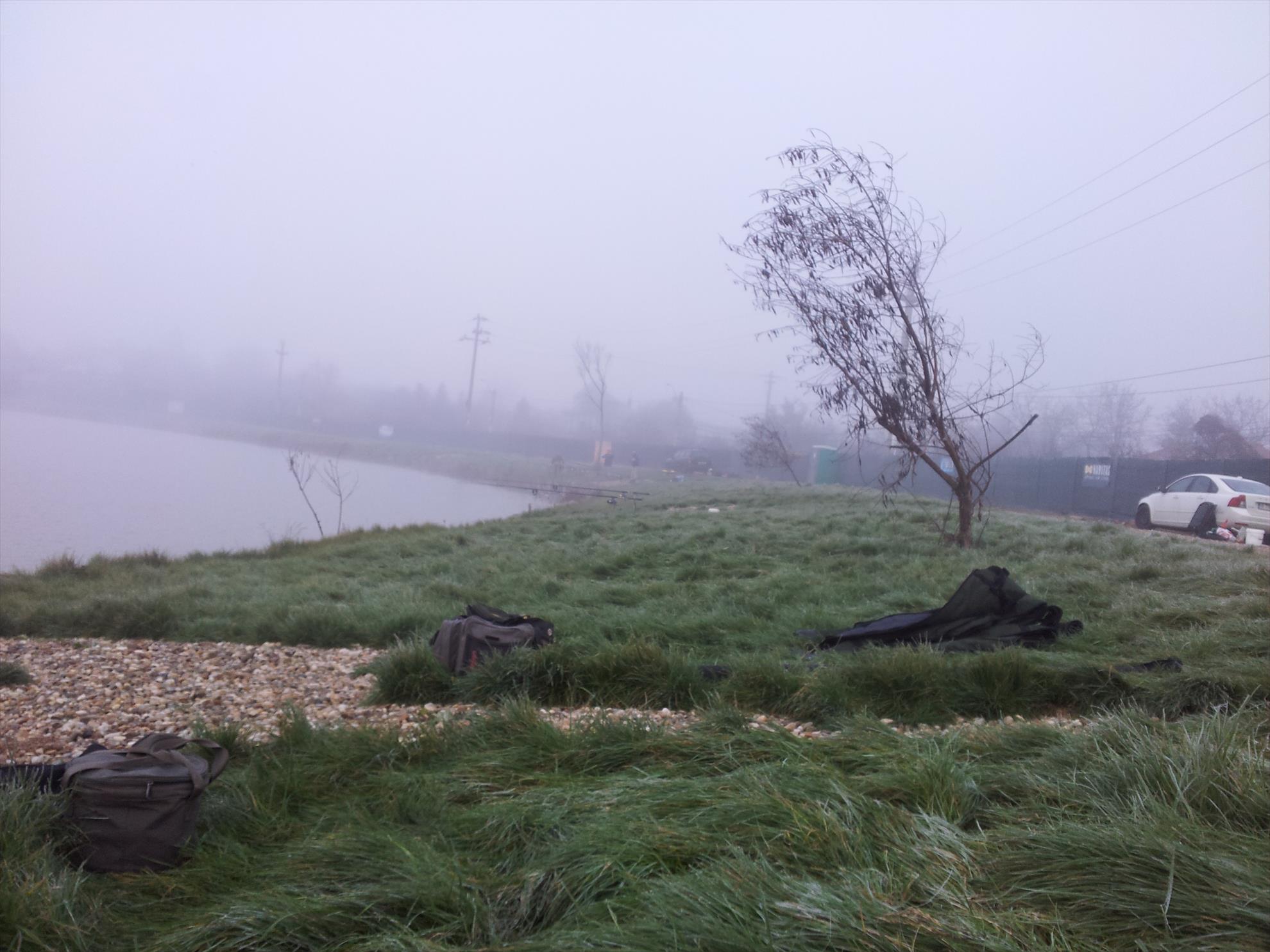 Hermes Peris 14 decembrie 2014 - nebunii din dreapta